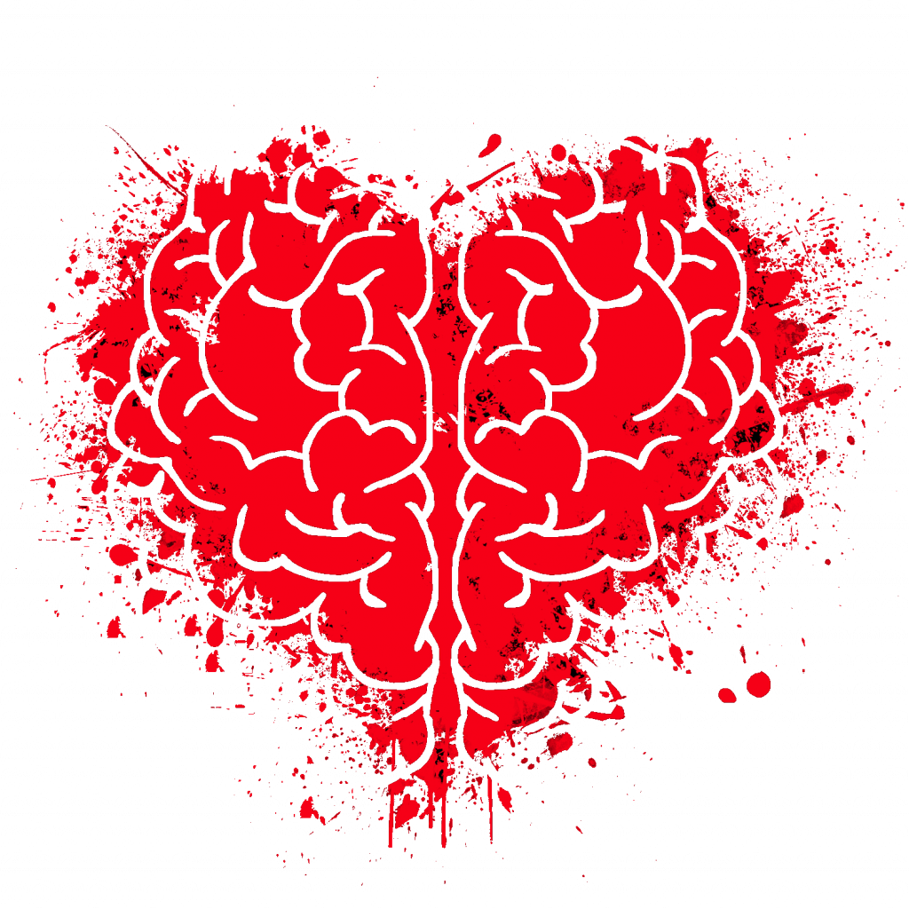 Gehirn Herz